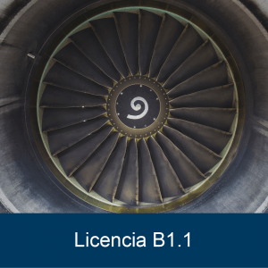 Licencia B1.1 – Completa